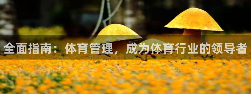 必一运动bsport