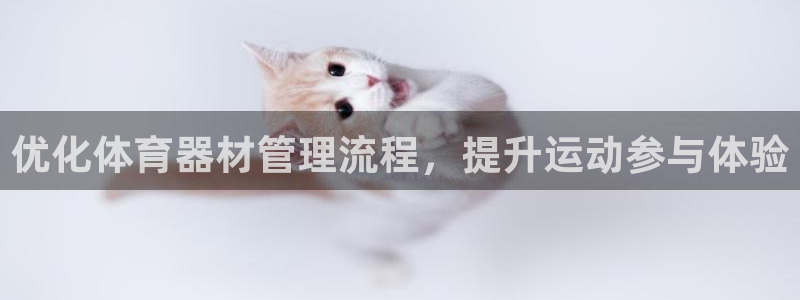 必一体育官网网站：优