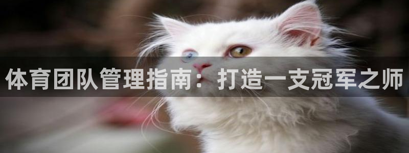 必一体育登录：体育团