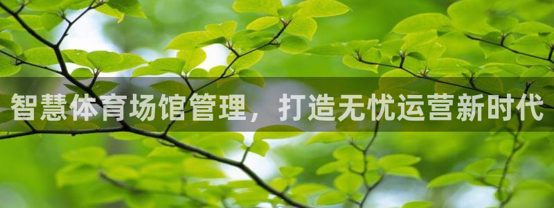 必一体育周公