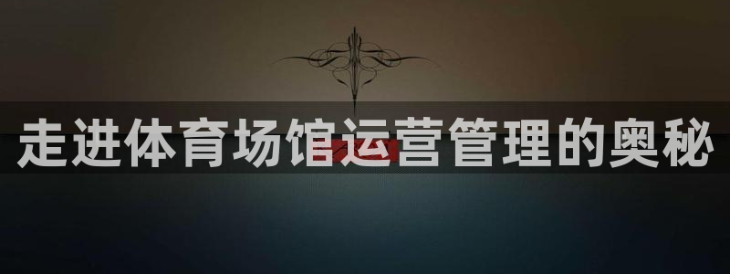 必一运动 b 体育素描版