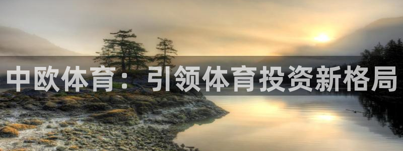 Bsport体育app必一