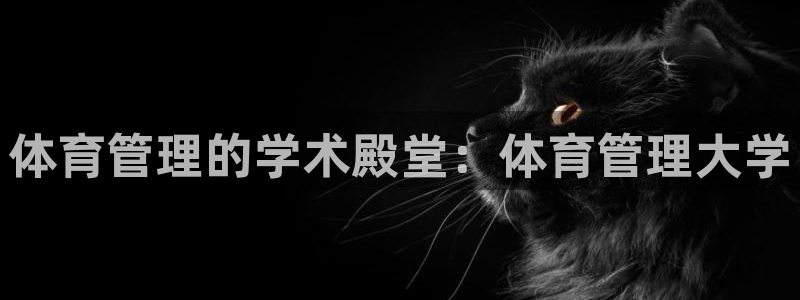 必一体育是啥