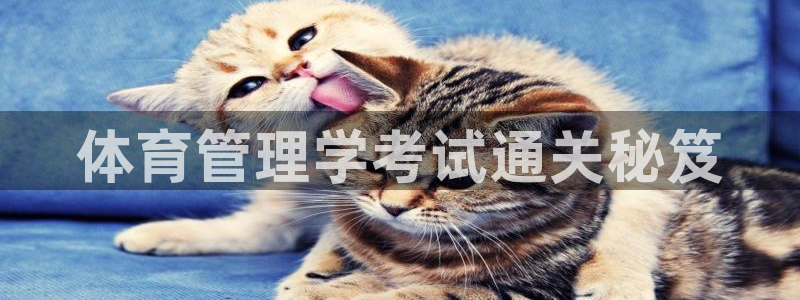 必一体育在线官网：体