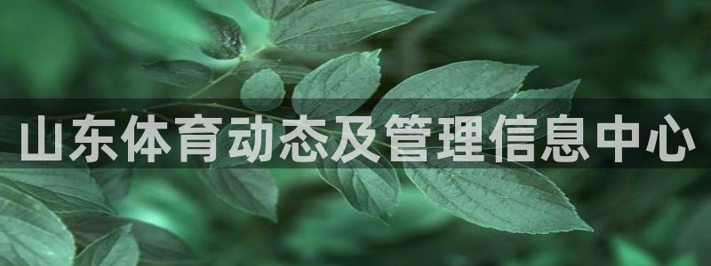 必一体育：山东体育动