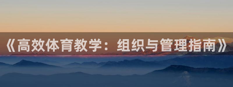 必一体育sportB