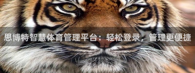 必一体育运动app