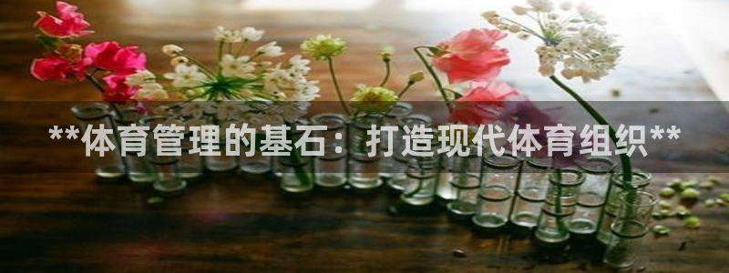 必一体育可靠吗