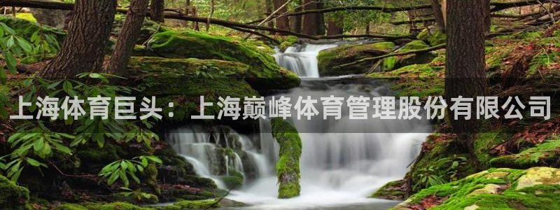 必一体育sport官方网站
