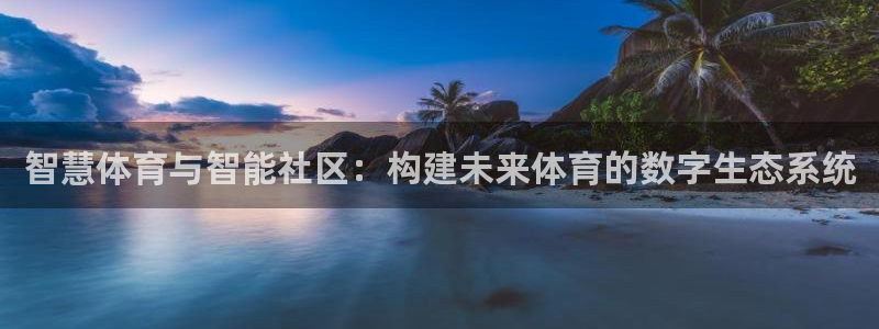 必一体育是啥：智慧体