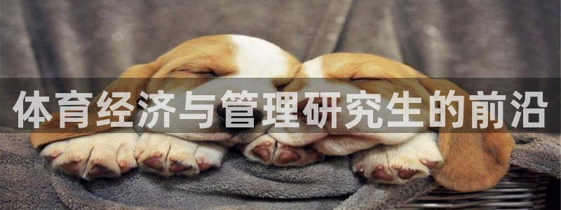 必一体育sportB