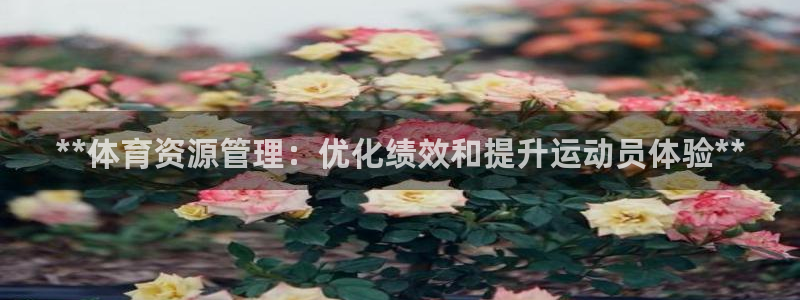必一运动官网平台：**体育资源管理：优化绩效和提升运动员体验