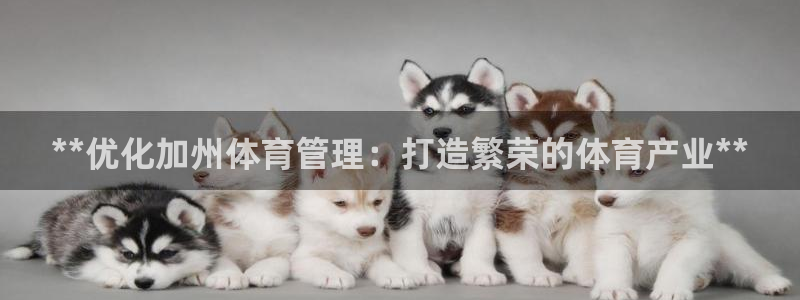 必一体育网址：**优化加州体育管理：打造繁荣的体育产业**