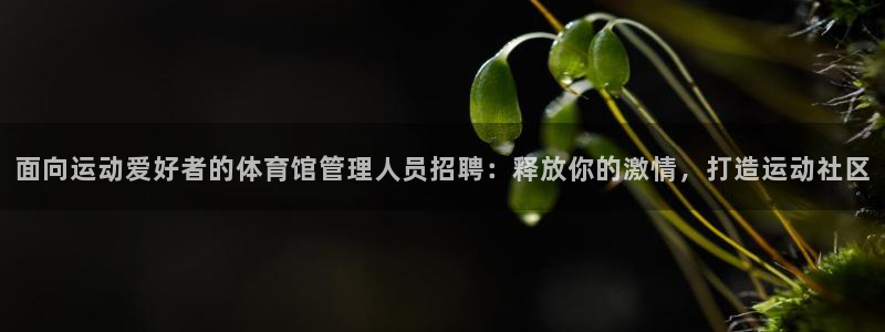必一体育黑平台：面向