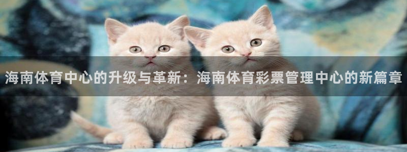必一运动体育官网下载：海南体育中心的升级与革新：海南体育彩票