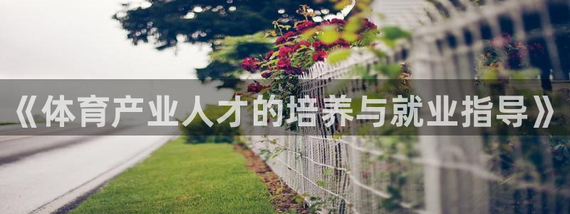 必一体育网页登录版官