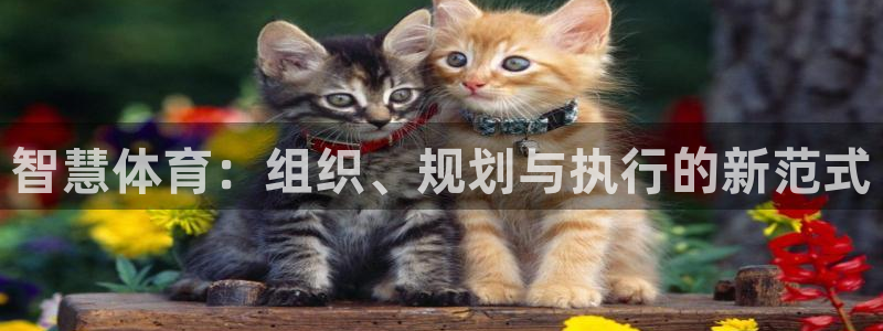 必一体育官方app下载：智慧体育：组织、规划与执行的新范式