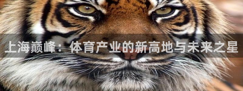 必一运动官网入口：上海巅峰：体育产业的新高地与未来之星
