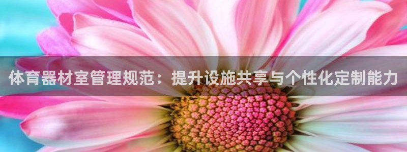 必一体育sport下载：体育器材室管理规范：提升设施共享与个