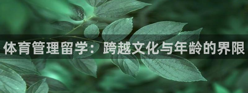 必一体育官方网站入口