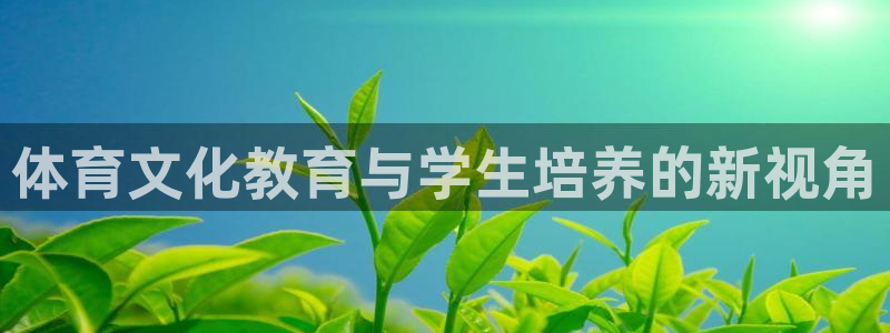 必一体育流水线是什么