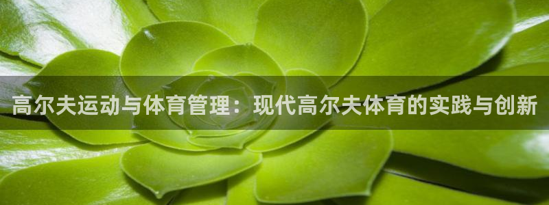 必一体育能提现大金额吗：高尔夫运动与体育管理：现代高尔夫体育