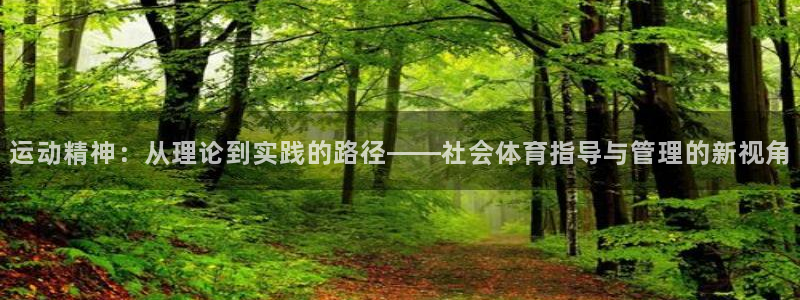 必一体育sport下