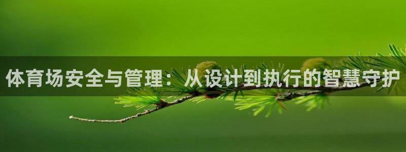 必一体育APP：体育