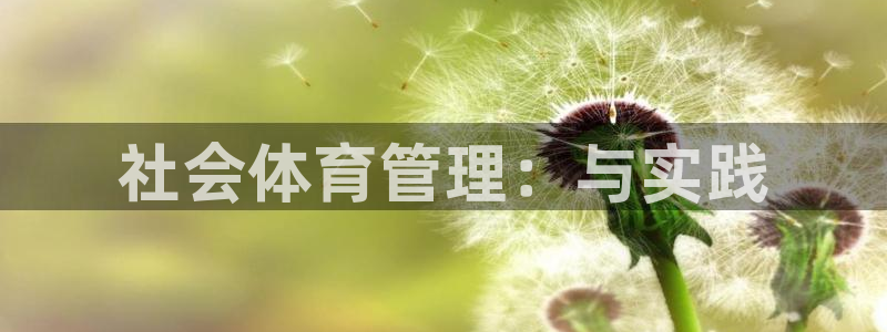 必一体育手机下载：社