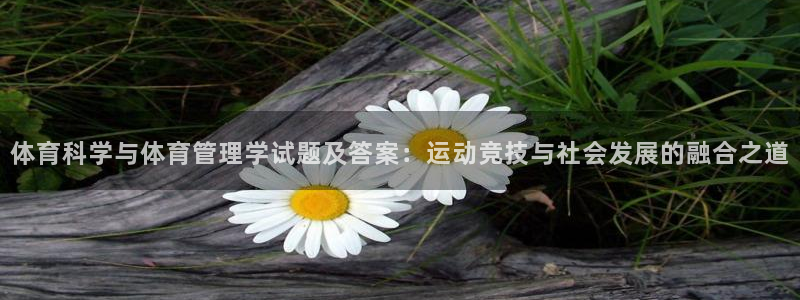 必一体育最新官网入口