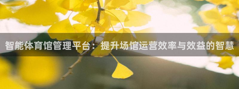 必一体育运动平台官网：智能体育馆管理平台：提升场馆运营效率与