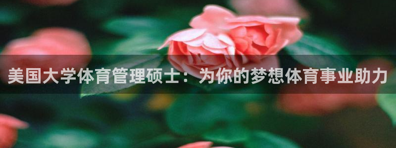 必一体育登入：美国大