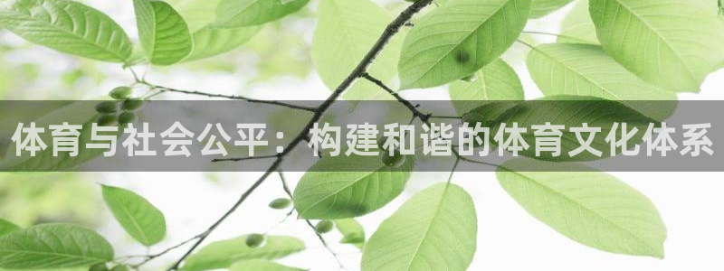 必一运动体育官网下载：体育与社会公平：构建和谐的体育文化体系