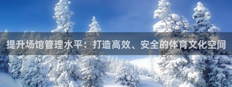 必一体育app官方下载：提升场馆管理水平：打造高效、安全的体