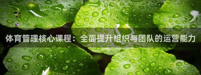 必一体育官网网址：体育管理核心课程：全面提升组织与团队的运营