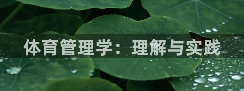 必一体育下载秀给网：