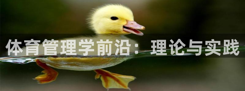 必一体育秀给网：体育管理学前沿：理论与实践