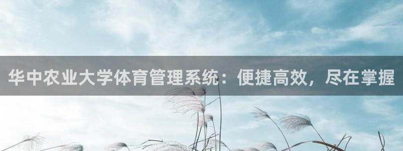 必一体育在线官网