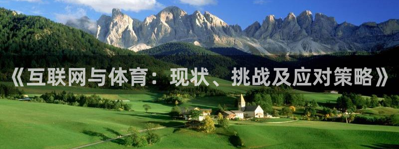 必一体育app下载装