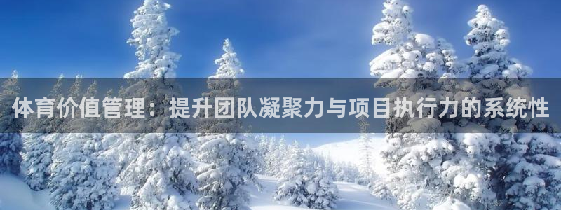 必一体育官方网站入口