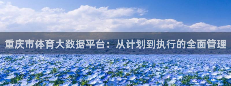 必一体育下载一样吗：