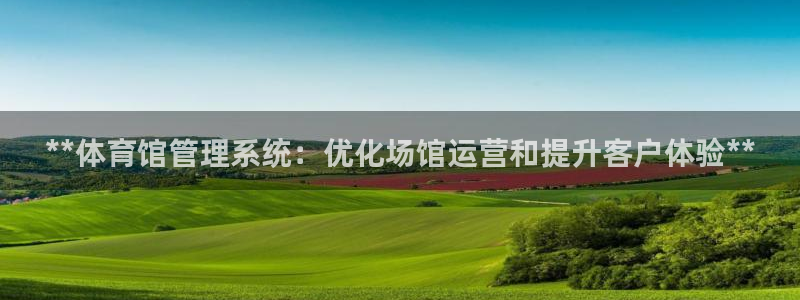 必一体育sport下