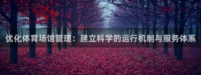 必一体育网页：优化体