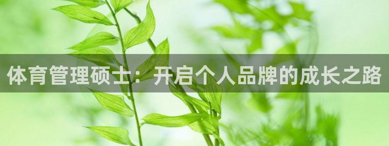 必一体育在哪下：体育