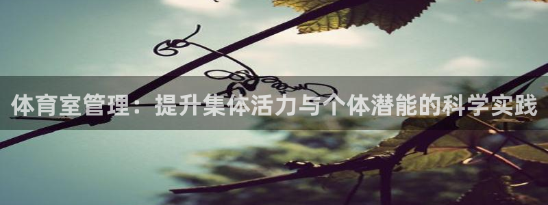 必一体育游戏玩法：体