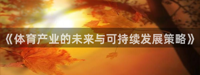 必一体育游戏玩法：《