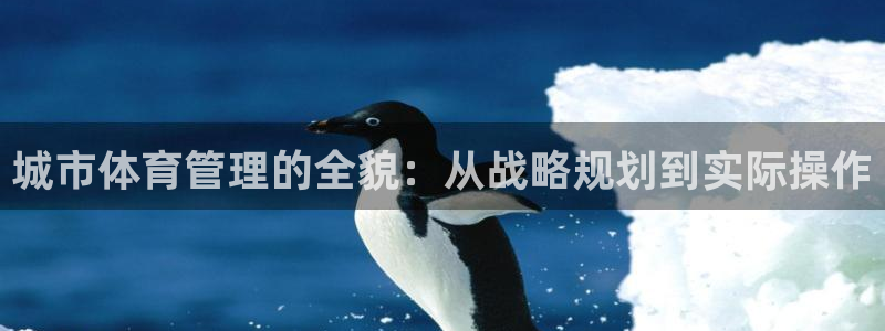 必一体育在线登录：城