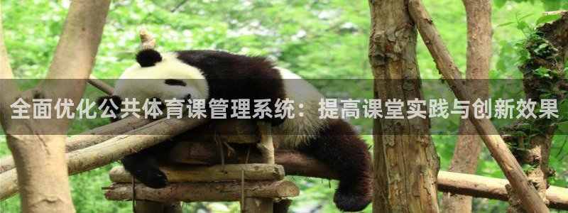 必一体育下载app下