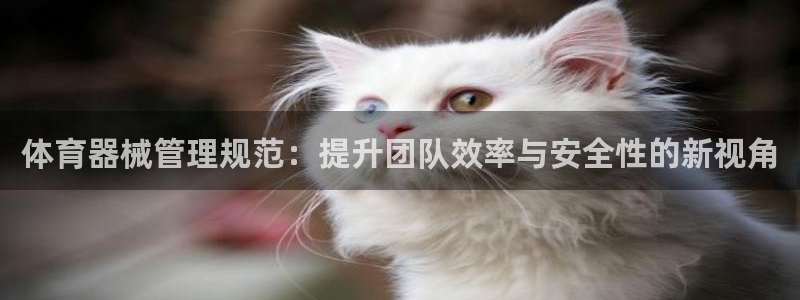 b体育必一下载：体育