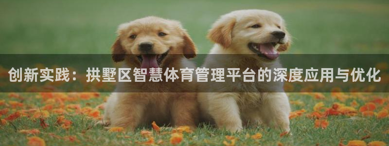 必一体育黑钱：创新实